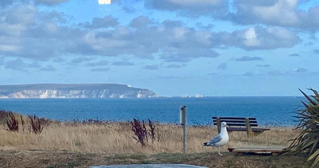 Shorefield Country Park, Where The New Forest Meets The Sea, Passes For All Entertainment Included Milford on Sea Exterior photo