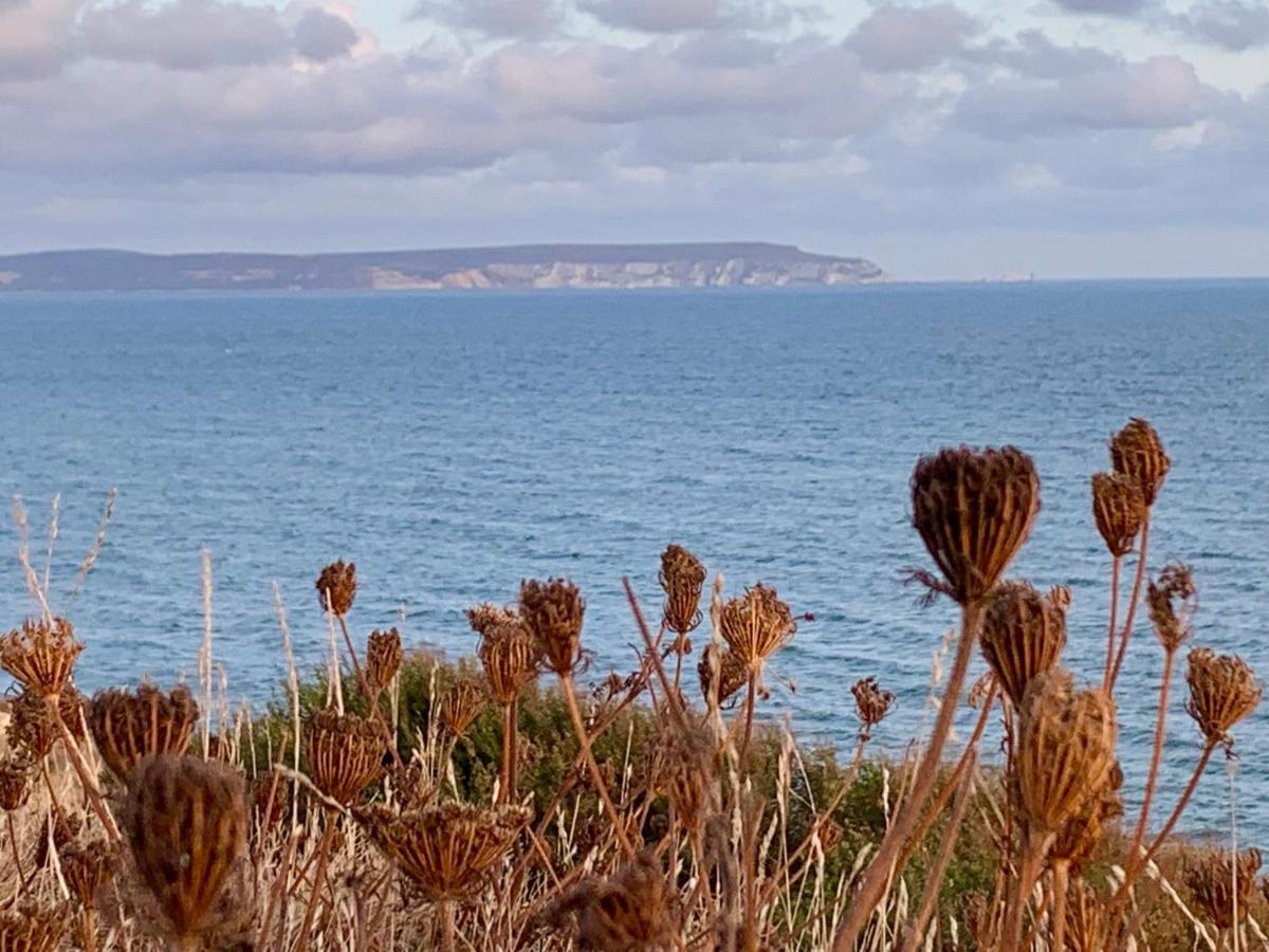 Shorefield Country Park, Where The New Forest Meets The Sea, Passes For All Entertainment Included Milford on Sea Exterior photo