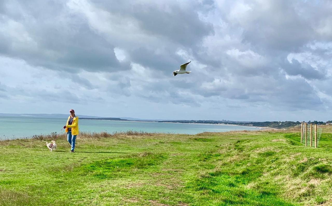 Shorefield Country Park, Where The New Forest Meets The Sea, Passes For All Entertainment Included Milford on Sea Exterior photo